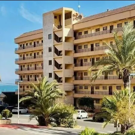 Petite Pepite De ! Torrevieja